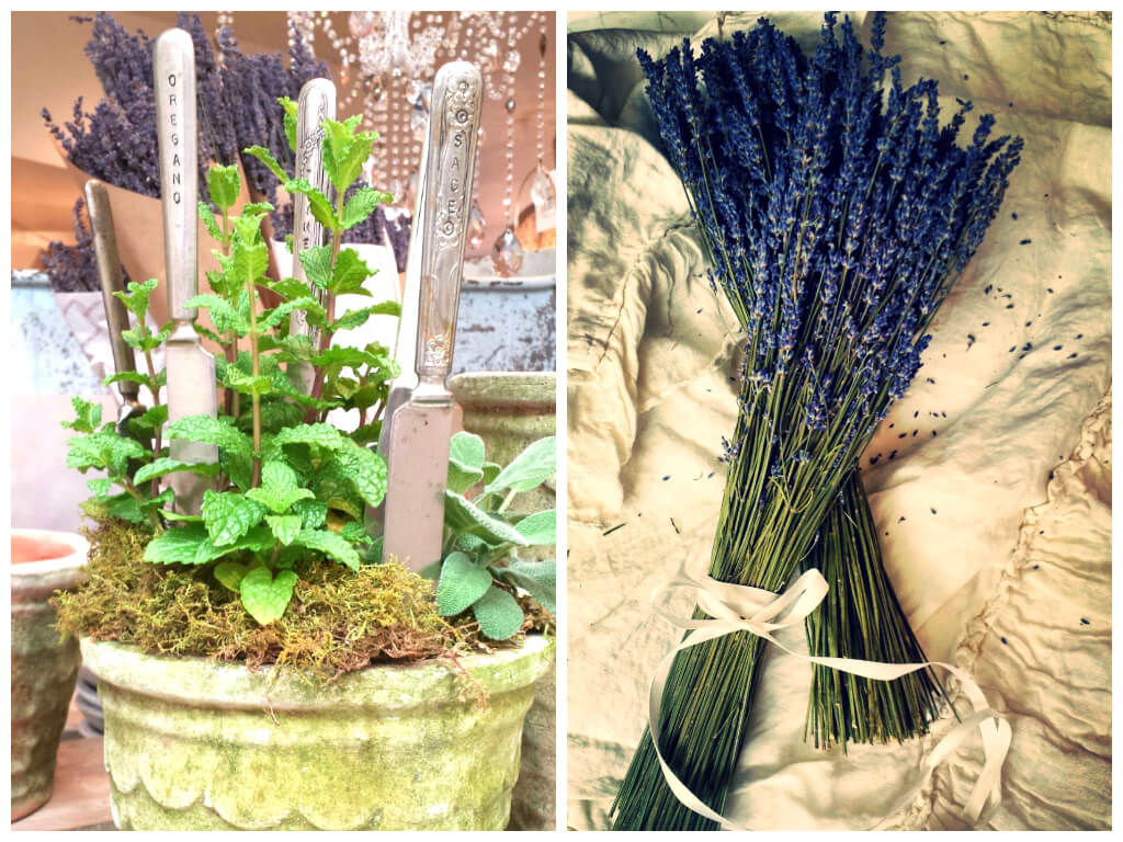 herb markers collage